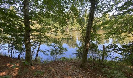 Photo #47 of Off Colonial Trail W, Spring Grove, NC 65.0 acres