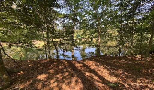 Photo #48 of SOLD property in Off Colonial Trail W, Spring Grove, NC 65.0 acres