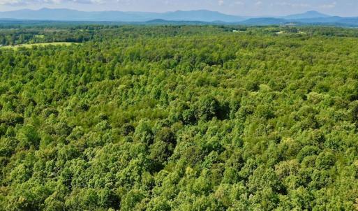 Photo #28 of SOLD property in 524 Lobo Lane, Arrington, VA 64.8 acres