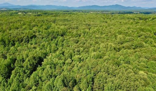 Photo #29 of SOLD property in 524 Lobo Lane, Arrington, VA 64.8 acres