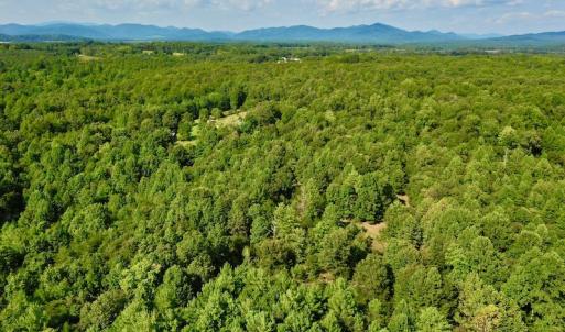 Photo #30 of SOLD property in 524 Lobo Lane, Arrington, VA 64.8 acres