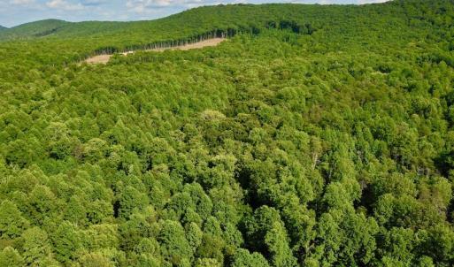Photo #31 of SOLD property in 524 Lobo Lane, Arrington, VA 64.8 acres