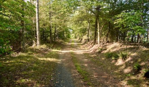 Photo #36 of SOLD property in 524 Lobo Lane, Arrington, VA 64.8 acres