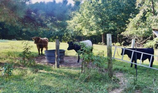 Photo #41 of SOLD property in 524 Lobo Lane, Arrington, VA 64.8 acres
