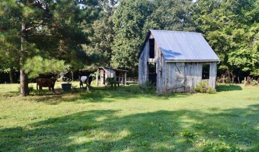 Photo #42 of SOLD property in 524 Lobo Lane, Arrington, VA 64.8 acres