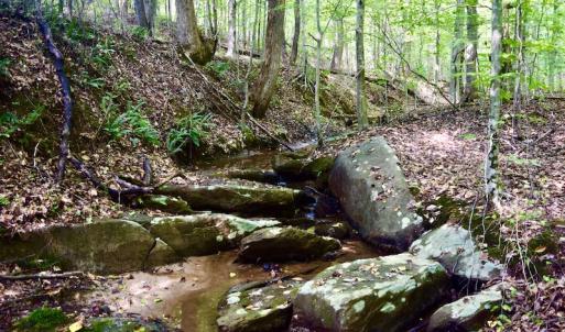 Photo #46 of SOLD property in 524 Lobo Lane, Arrington, VA 64.8 acres