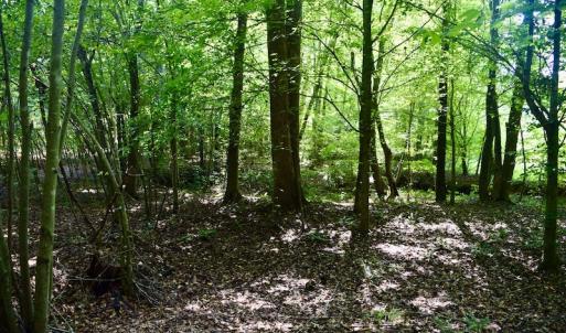 Photo #47 of SOLD property in 524 Lobo Lane, Arrington, VA 64.8 acres