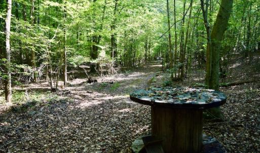 Photo #49 of SOLD property in 524 Lobo Lane, Arrington, VA 64.8 acres