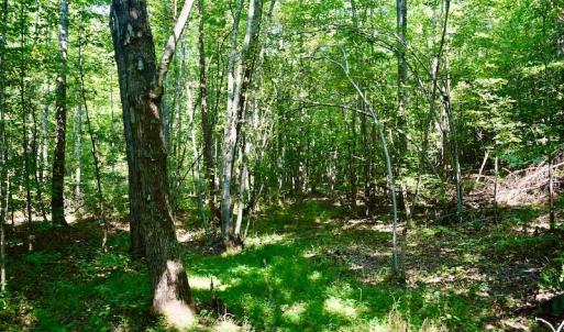 Photo #53 of SOLD property in 524 Lobo Lane, Arrington, VA 64.8 acres