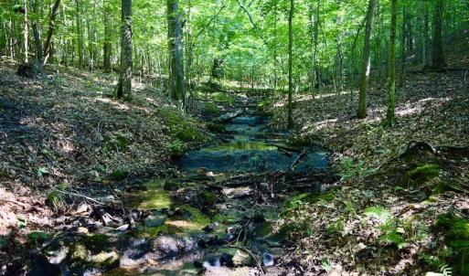 Photo #55 of SOLD property in 524 Lobo Lane, Arrington, VA 64.8 acres