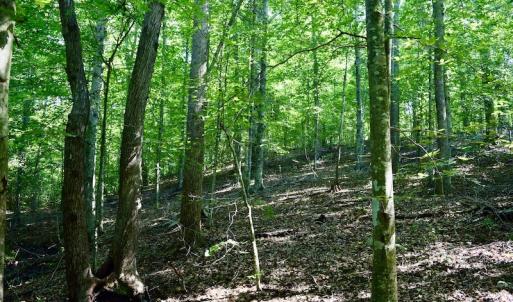 Photo #56 of SOLD property in 524 Lobo Lane, Arrington, VA 64.8 acres