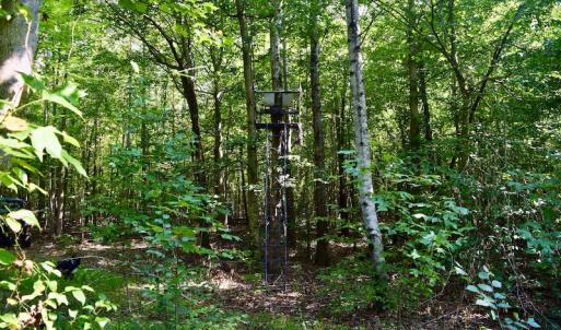 Photo #57 of SOLD property in 524 Lobo Lane, Arrington, VA 64.8 acres