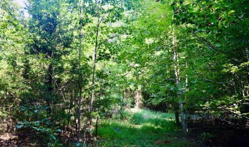 Photo #58 of SOLD property in 524 Lobo Lane, Arrington, VA 64.8 acres