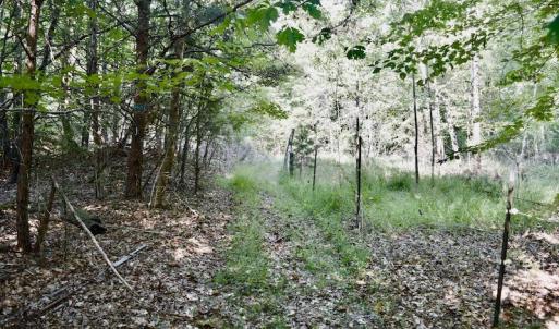 Photo #60 of SOLD property in 524 Lobo Lane, Arrington, VA 64.8 acres