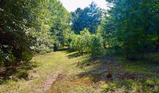 Photo #61 of SOLD property in 524 Lobo Lane, Arrington, VA 64.8 acres