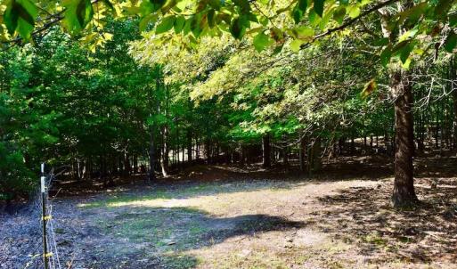 Photo #62 of SOLD property in 524 Lobo Lane, Arrington, VA 64.8 acres