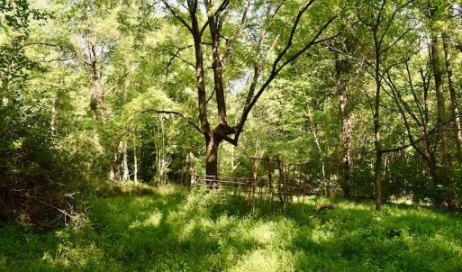 Photo #63 of SOLD property in 524 Lobo Lane, Arrington, VA 64.8 acres