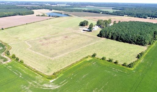 Photo #13 of SOLD property in 874 Bryant Farm Road, Tarboro, NC 41.0 acres