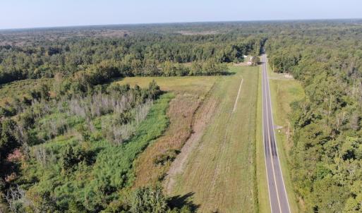 Photo #4 of SOLD property in 5161 Long Branch Swamp Road, Green Sea, SC 148.0 acres