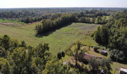 Photo #6 of SOLD property in 5161 Long Branch Swamp Road, Green Sea, SC 148.0 acres