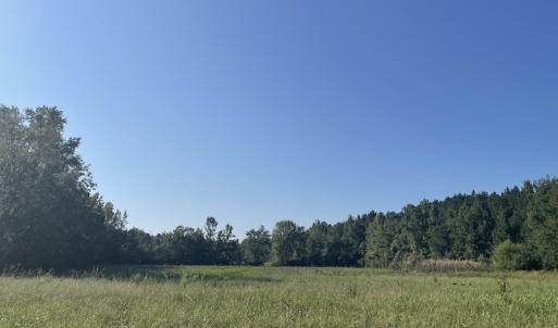 Photo #10 of SOLD property in 5161 Long Branch Swamp Road, Green Sea, SC 148.0 acres