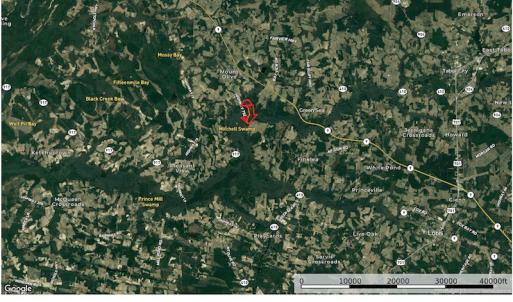 Photo #21 of 5161 Long Branch Swamp Road, Green Sea, SC 148.0 acres