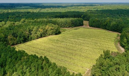 Photo #2 of SOLD property in Off Peter Stallings Road, Macon, NC 187.0 acres