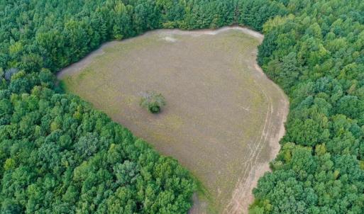 Photo #6 of Off Peter Stallings Road, Macon, NC 187.0 acres