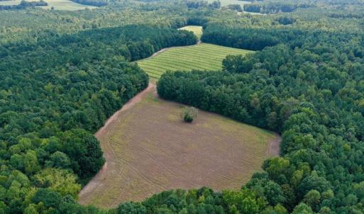 Photo #7 of SOLD property in Off Peter Stallings Road, Macon, NC 187.0 acres