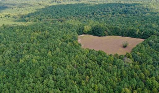 Photo #9 of Off Peter Stallings Road, Macon, NC 187.0 acres