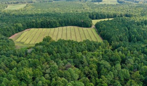 Photo #10 of Off Peter Stallings Road, Macon, NC 187.0 acres