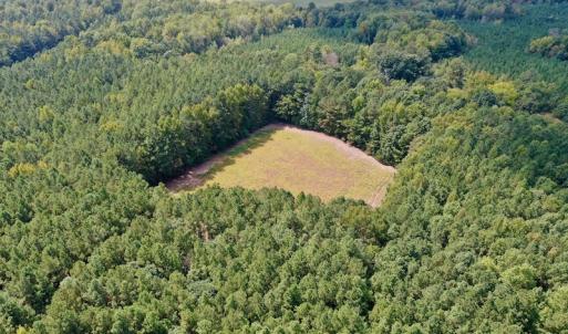 Photo #11 of Off Peter Stallings Road, Macon, NC 187.0 acres