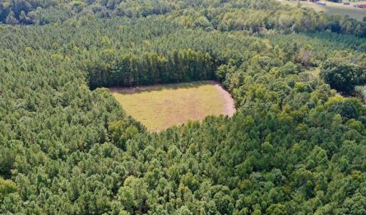 Photo #12 of Off Peter Stallings Road, Macon, NC 187.0 acres