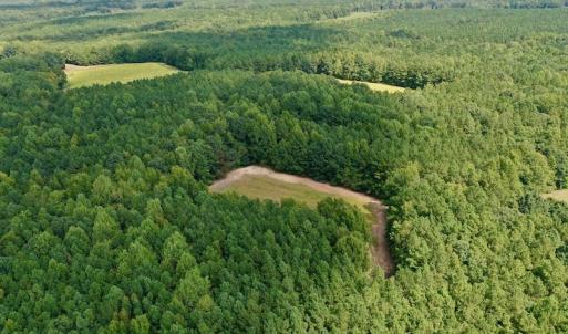 Photo #13 of Off Peter Stallings Road, Macon, NC 187.0 acres