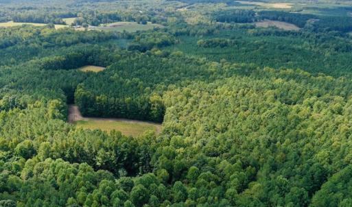 Photo #15 of SOLD property in Off Peter Stallings Road, Macon, NC 187.0 acres