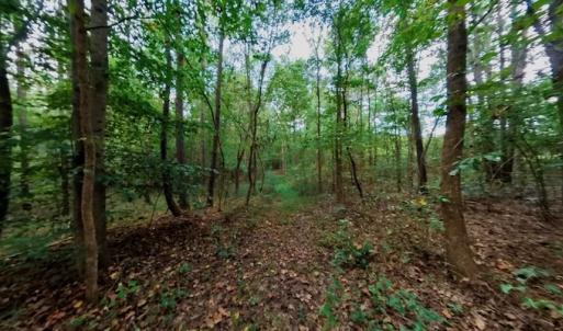 Photo #39 of Off Peter Stallings Road, Macon, NC 187.0 acres
