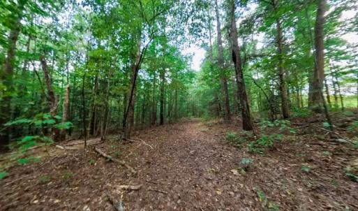 Photo #41 of SOLD property in Off Peter Stallings Road, Macon, NC 187.0 acres