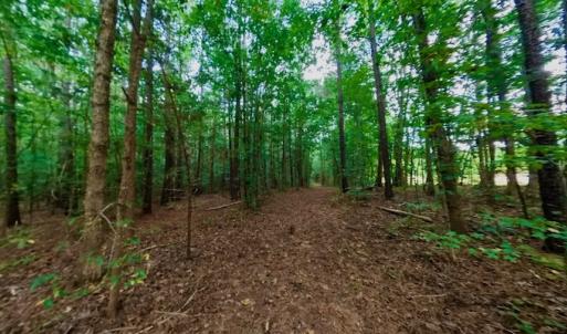 Photo #42 of SOLD property in Off Peter Stallings Road, Macon, NC 187.0 acres