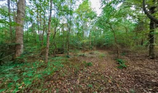 Photo #44 of Off Peter Stallings Road, Macon, NC 187.0 acres