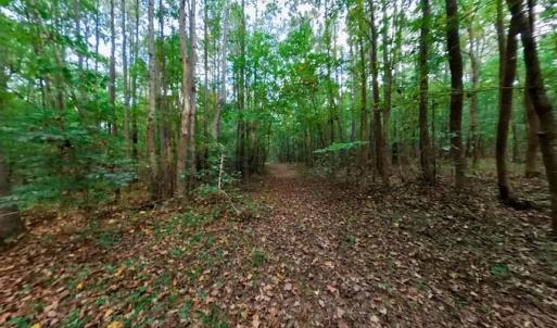 Photo #45 of Off Peter Stallings Road, Macon, NC 187.0 acres