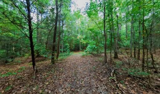 Photo #47 of SOLD property in Off Peter Stallings Road, Macon, NC 187.0 acres