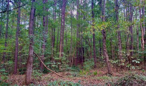 Photo #21 of Off Peter Stallings Road, Macon, NC 187.0 acres