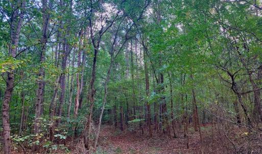 Photo #22 of Off Peter Stallings Road, Macon, NC 187.0 acres
