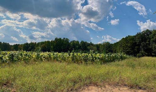 Photo #29 of SOLD property in Off Peter Stallings Road, Macon, NC 187.0 acres