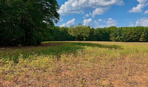 Photo #30 of Off Peter Stallings Road, Macon, NC 187.0 acres
