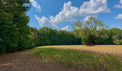 Photo #31 of SOLD property in Off Peter Stallings Road, Macon, NC 187.0 acres