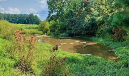 Photo #34 of SOLD property in Off Peter Stallings Road, Macon, NC 187.0 acres