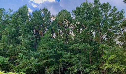 Photo #35 of Off Peter Stallings Road, Macon, NC 187.0 acres
