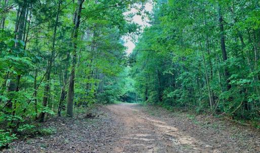Photo #36 of Off Peter Stallings Road, Macon, NC 187.0 acres