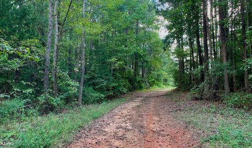 Photo #37 of Off Peter Stallings Road, Macon, NC 187.0 acres